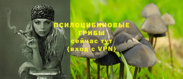 скорость mdpv Новодвинск