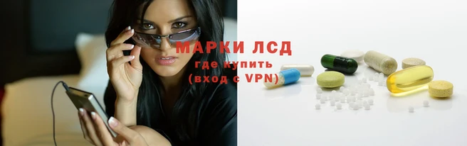 скорость mdpv Новодвинск