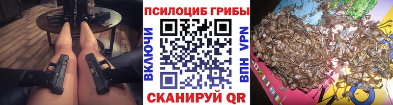 Галлюциногенные грибы Psilocybine cubensis  Нерчинск 
